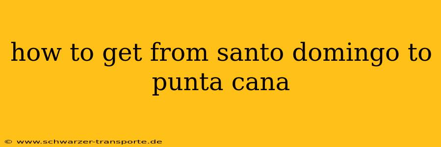 how to get from santo domingo to punta cana