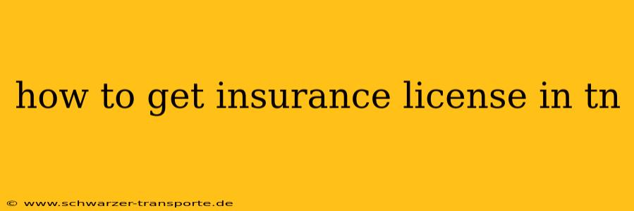 how to get insurance license in tn