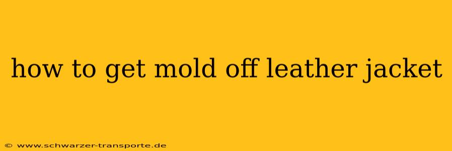 how to get mold off leather jacket