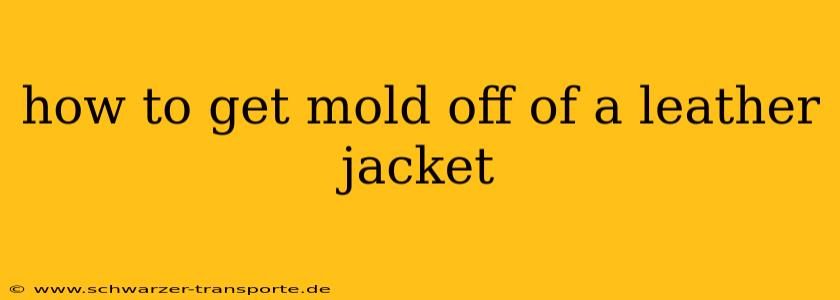 how to get mold off of a leather jacket