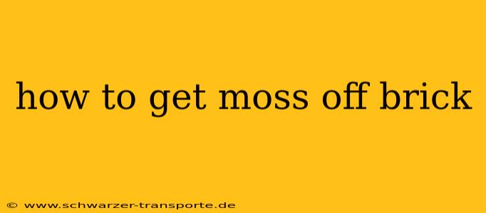 how to get moss off brick