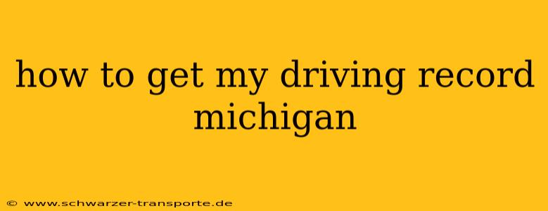 how to get my driving record michigan
