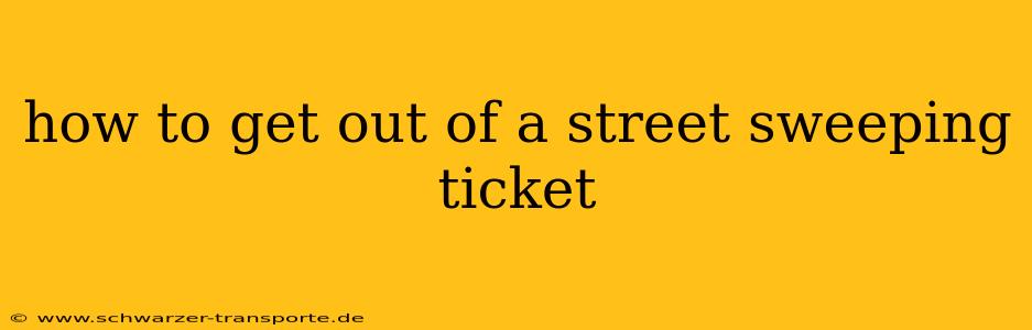 how to get out of a street sweeping ticket