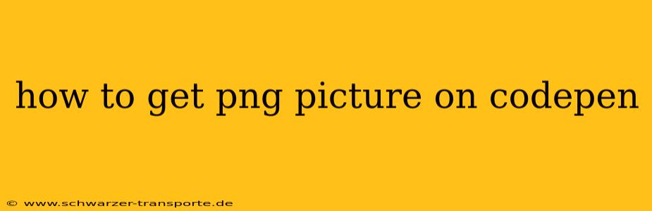 how to get png picture on codepen