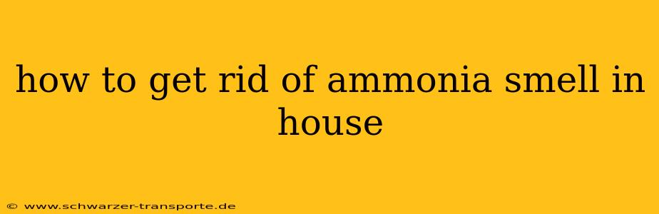 how to get rid of ammonia smell in house