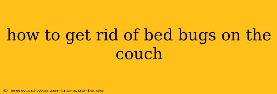 how to get rid of bed bugs on the couch