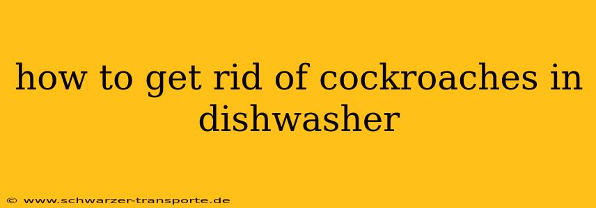 how to get rid of cockroaches in dishwasher