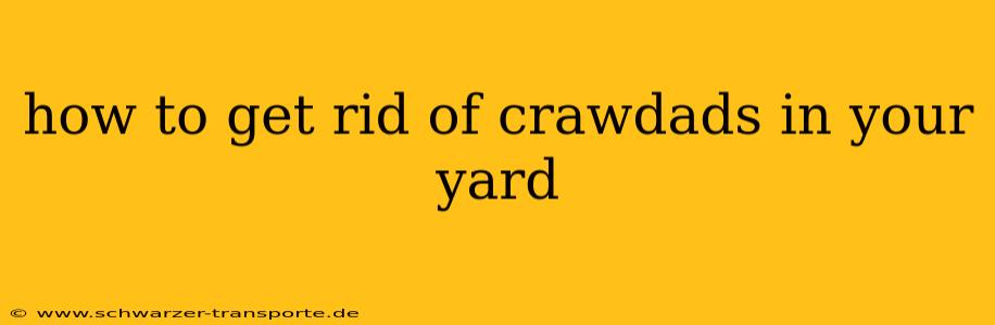 how to get rid of crawdads in your yard