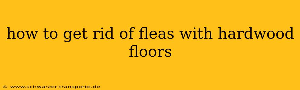 how to get rid of fleas with hardwood floors