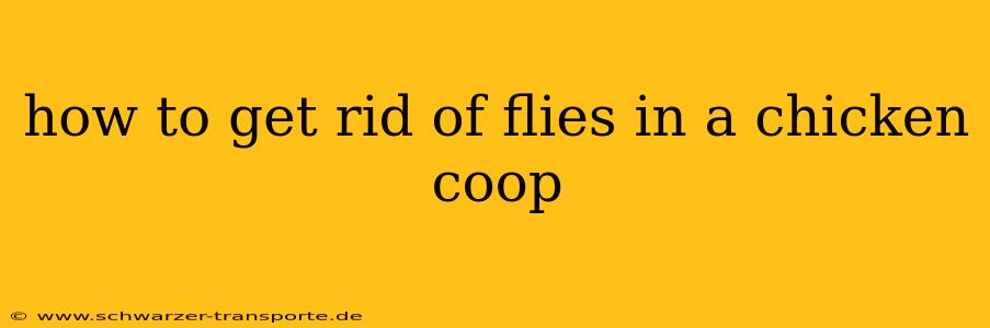 how to get rid of flies in a chicken coop
