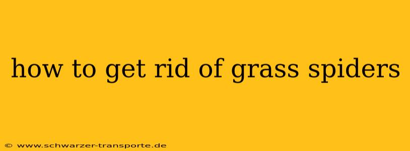 how to get rid of grass spiders