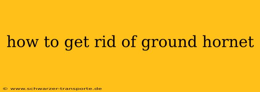 how to get rid of ground hornet