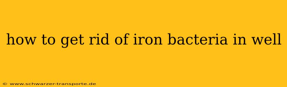how to get rid of iron bacteria in well