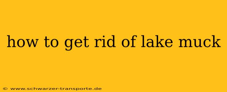 how to get rid of lake muck
