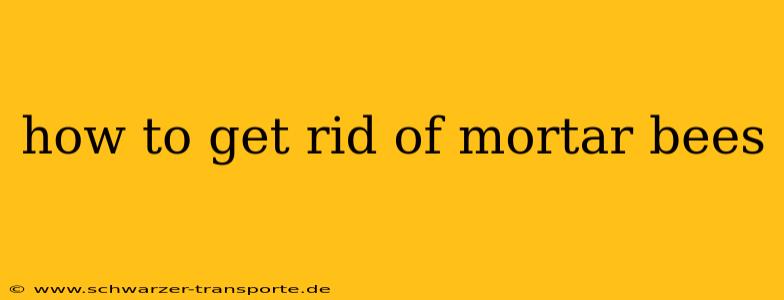 how to get rid of mortar bees