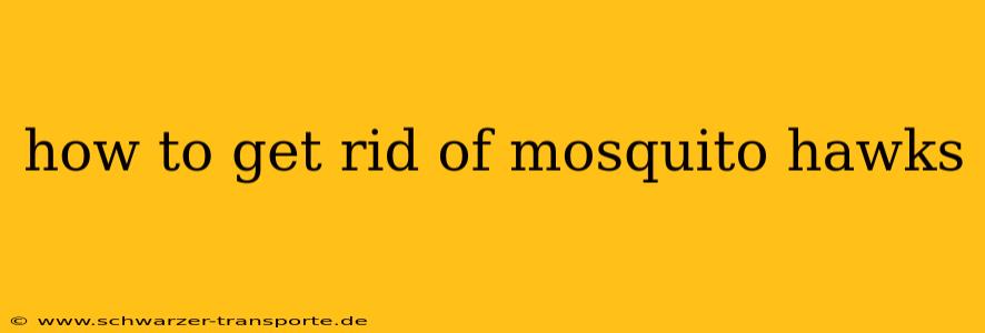 how to get rid of mosquito hawks