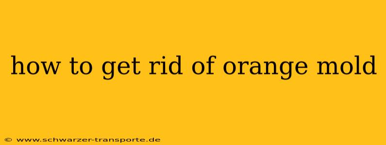 how to get rid of orange mold