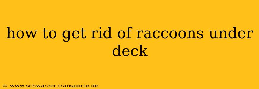 how to get rid of raccoons under deck