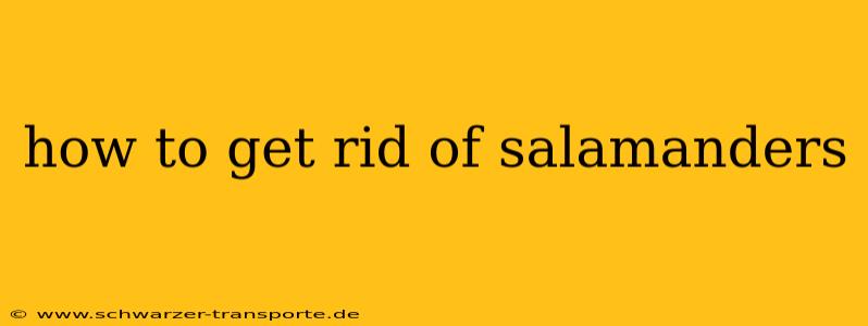 how to get rid of salamanders