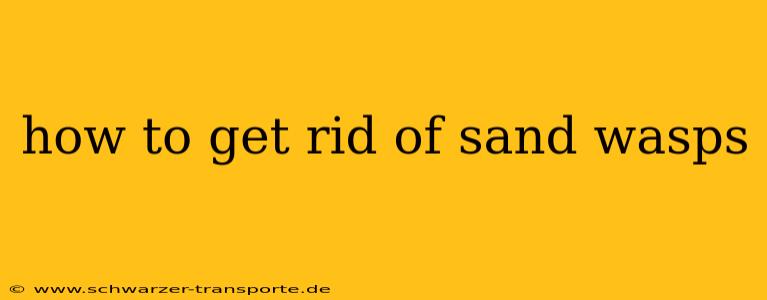 how to get rid of sand wasps