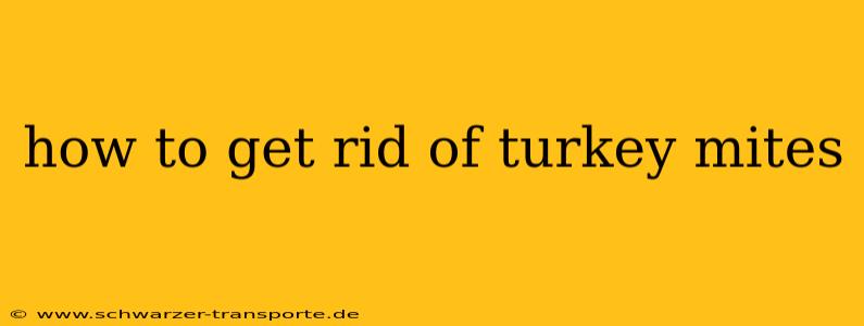 how to get rid of turkey mites