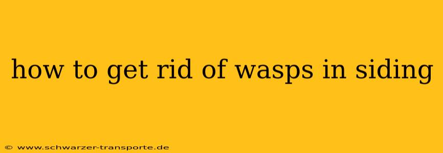 how to get rid of wasps in siding
