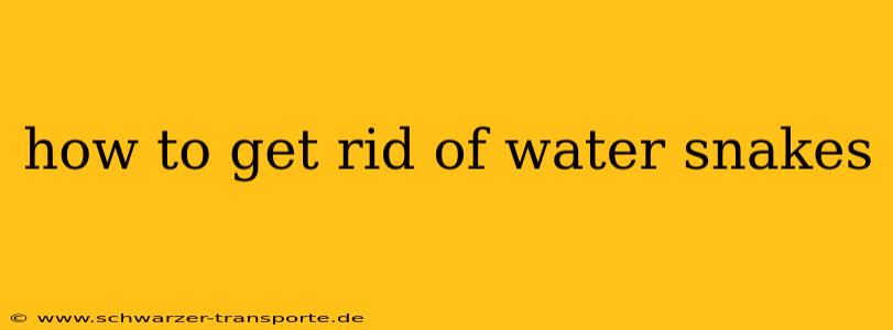 how to get rid of water snakes