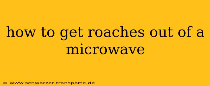 how to get roaches out of a microwave