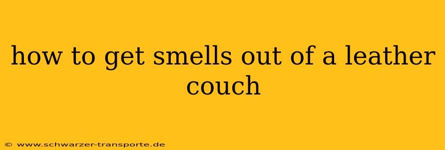 how to get smells out of a leather couch