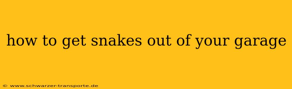 how to get snakes out of your garage