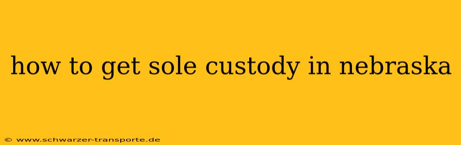 how to get sole custody in nebraska