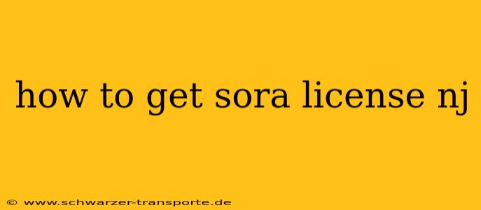 how to get sora license nj