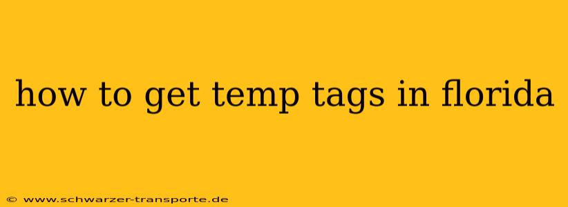 how to get temp tags in florida