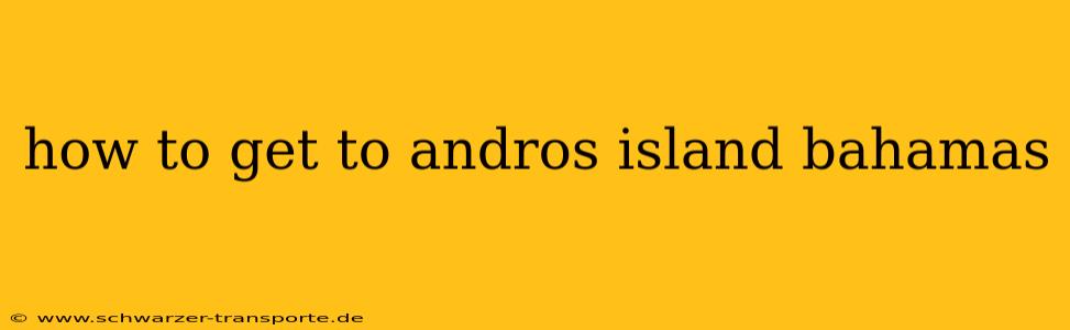 how to get to andros island bahamas