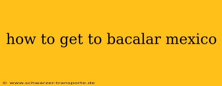 how to get to bacalar mexico