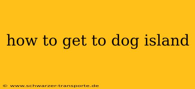 how to get to dog island