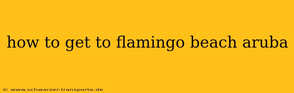 how to get to flamingo beach aruba