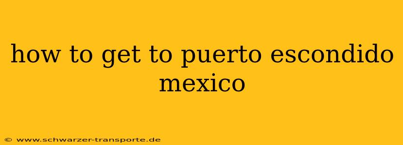 how to get to puerto escondido mexico