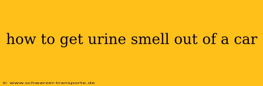 how to get urine smell out of a car