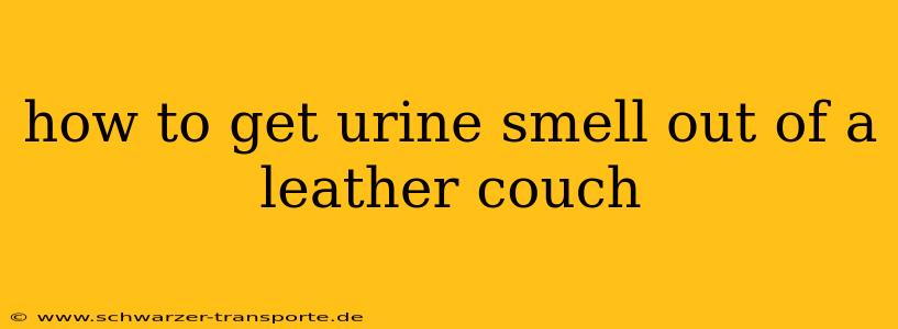 how to get urine smell out of a leather couch