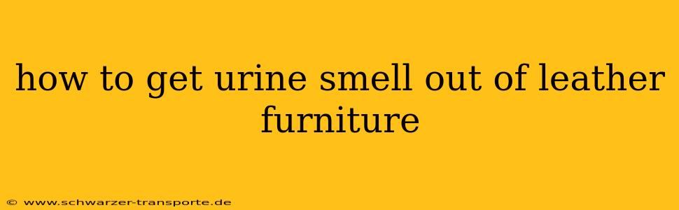 how to get urine smell out of leather furniture