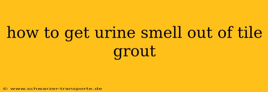 how to get urine smell out of tile grout