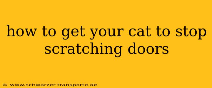 how to get your cat to stop scratching doors
