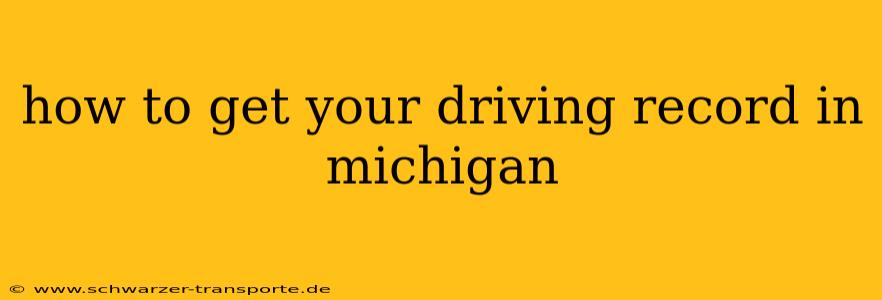 how to get your driving record in michigan