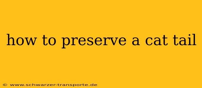 how to preserve a cat tail