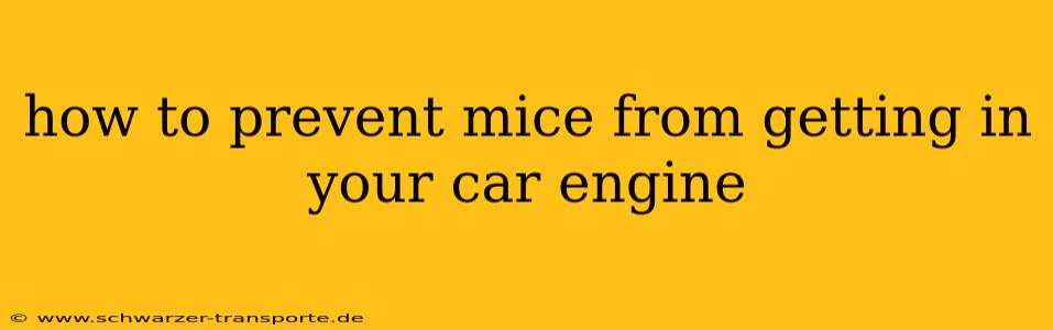 how to prevent mice from getting in your car engine