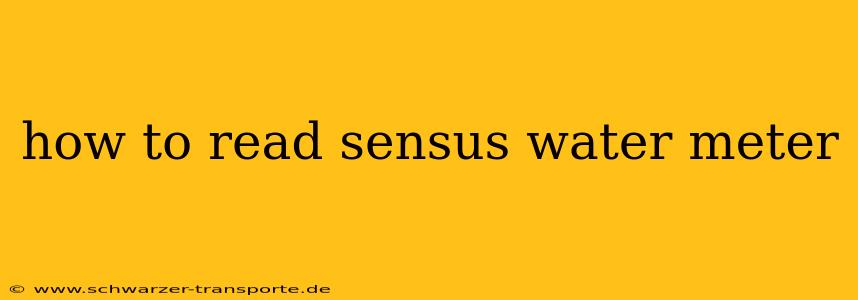 how to read sensus water meter