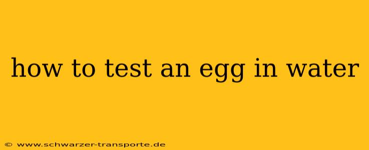 how to test an egg in water