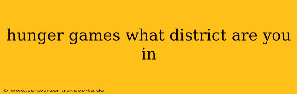 hunger games what district are you in