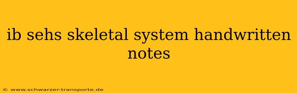 ib sehs skeletal system handwritten notes